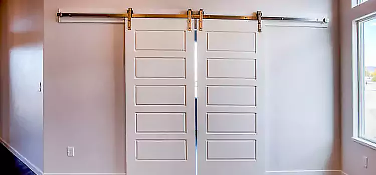 Glass Barn Door with Installation Hardware Kit Dedham