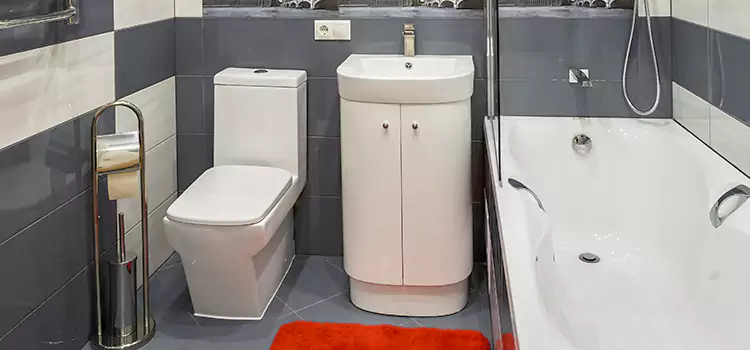 Hansgrohe Shaving Mirror Dedham