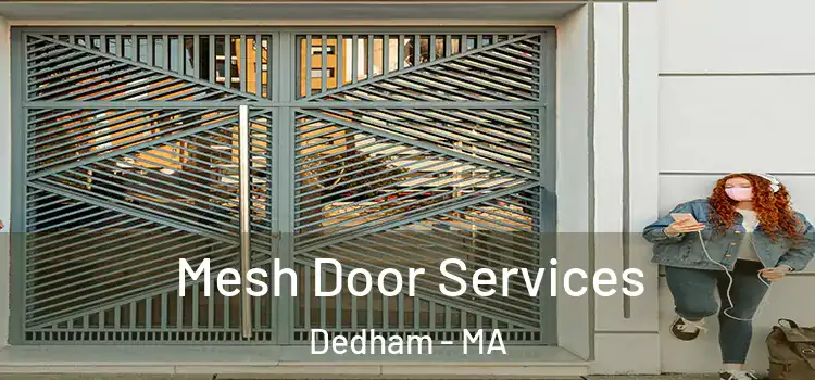  Mesh Door Services Dedham - MA